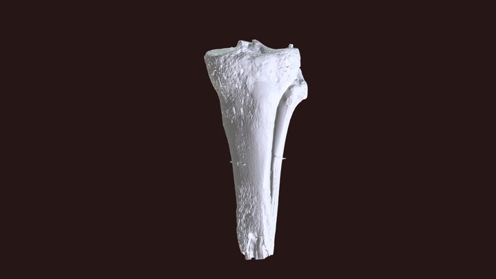 DCDA590 K411 3D Model