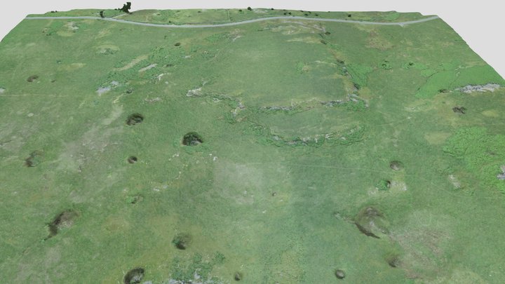 Cefn Sychbant Shakeholes (Brecon Beacons) 3D Model