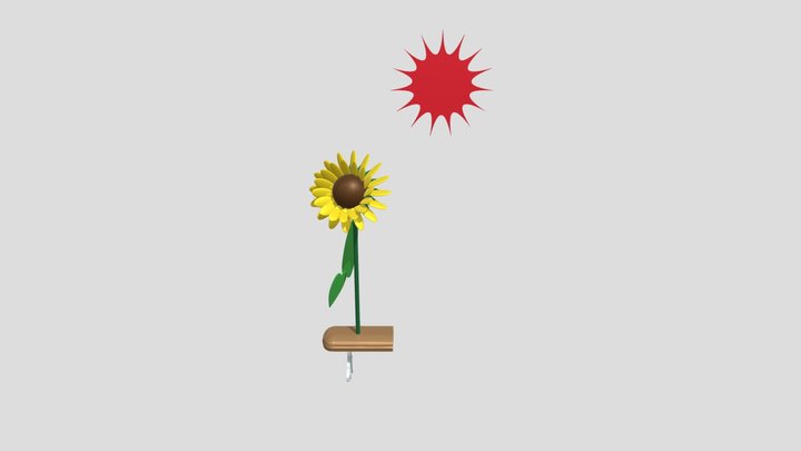 aurelia-photosynthesis 3D Model