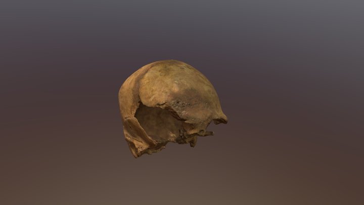 B Decimated 3D Model