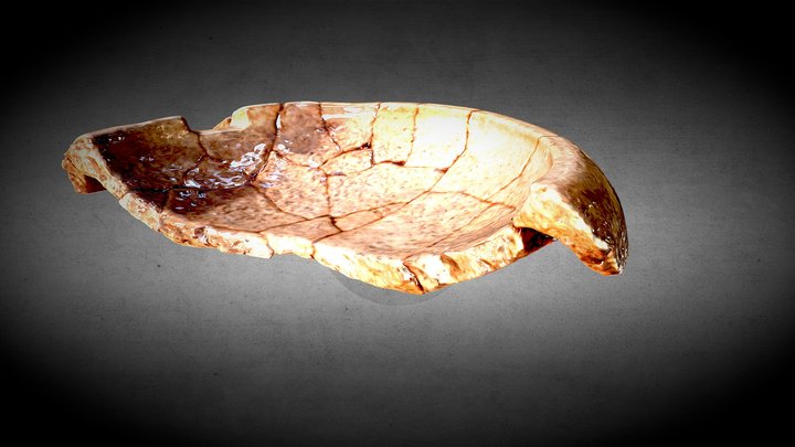 Ancient Mortar 3D Model