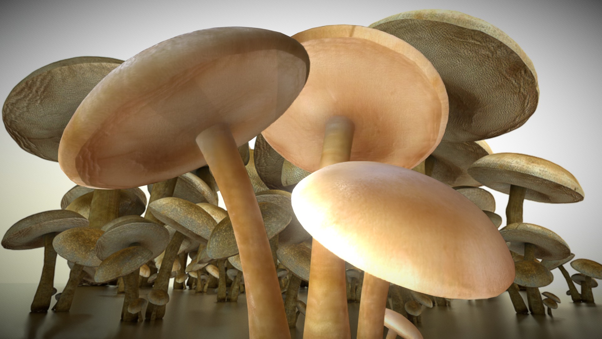 3D model Mushrooms - This is a 3D model of the Mushrooms. The 3D model is about a group of human skeletons.