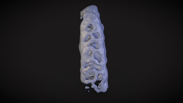 Epibiont 2 Outer Shell 3D Model