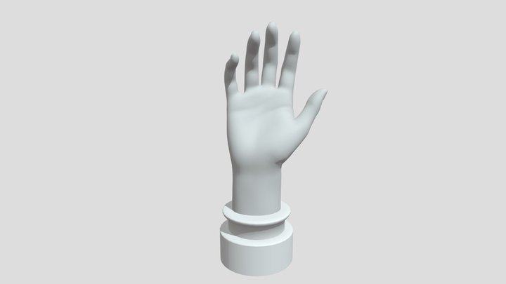 Mão 3D 3D Model