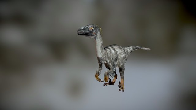 Raptor 121 animations - dinosaur animation set 3D Model