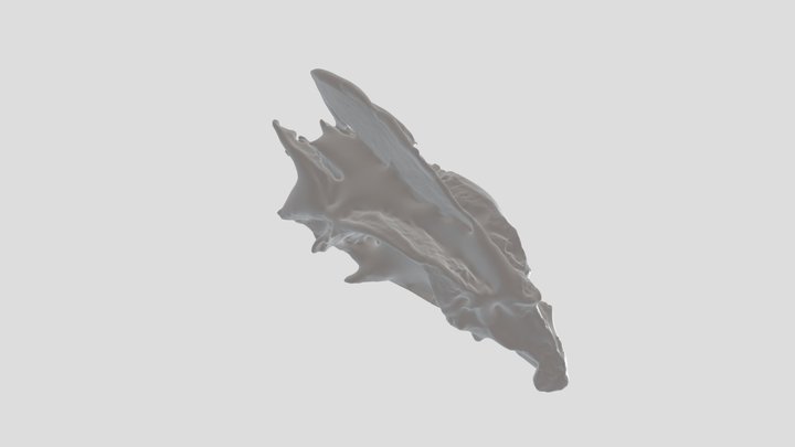 Skylar Olsen Yellowtail Snapper Skull Scan 3D Model