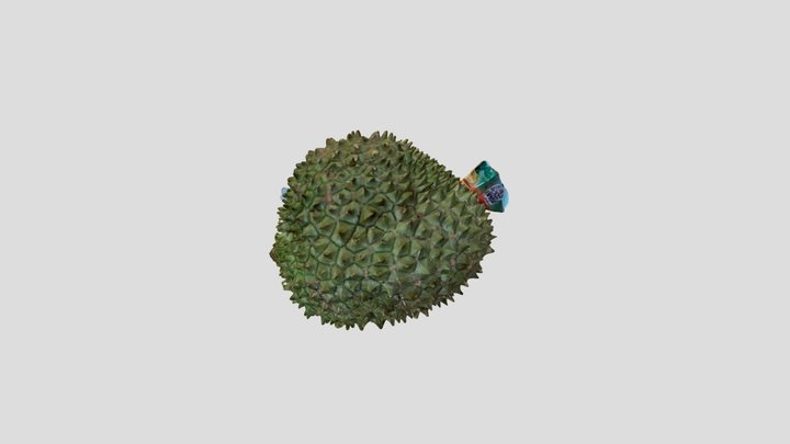 Durian 3D Model
