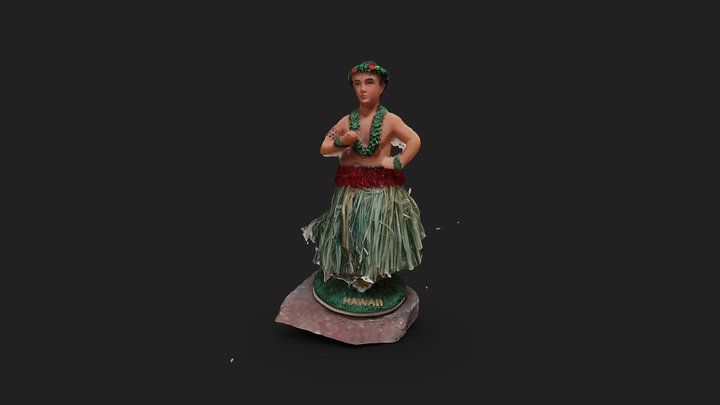 Hawaii Fbx 3D Model
