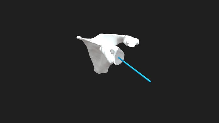 3D0041_10070352_rsa_guia_v2 3D Model
