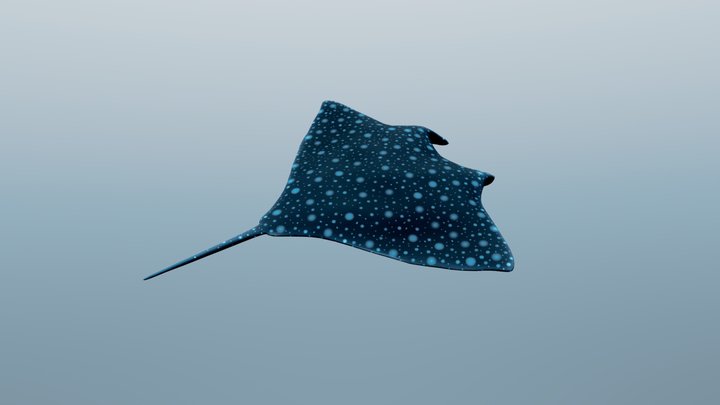 Manta Ray 3D Model