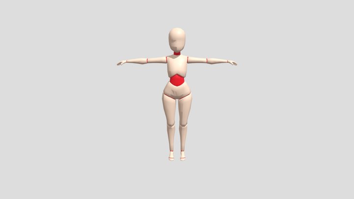 Mannequin Rig 3D Model
