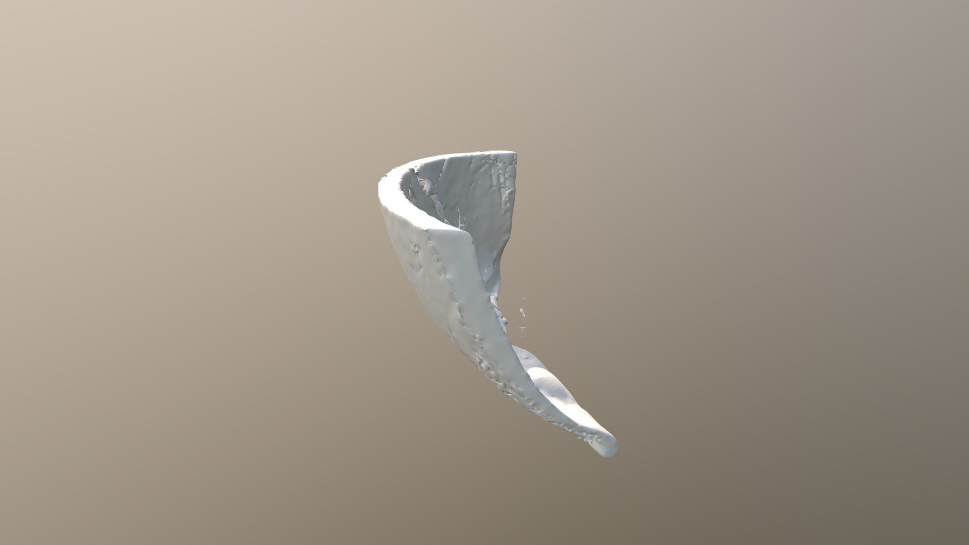 Fingernail scan