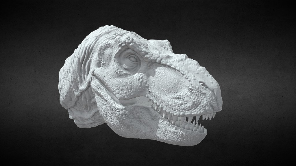 Jurassic park t rex maquette bust scan assembled