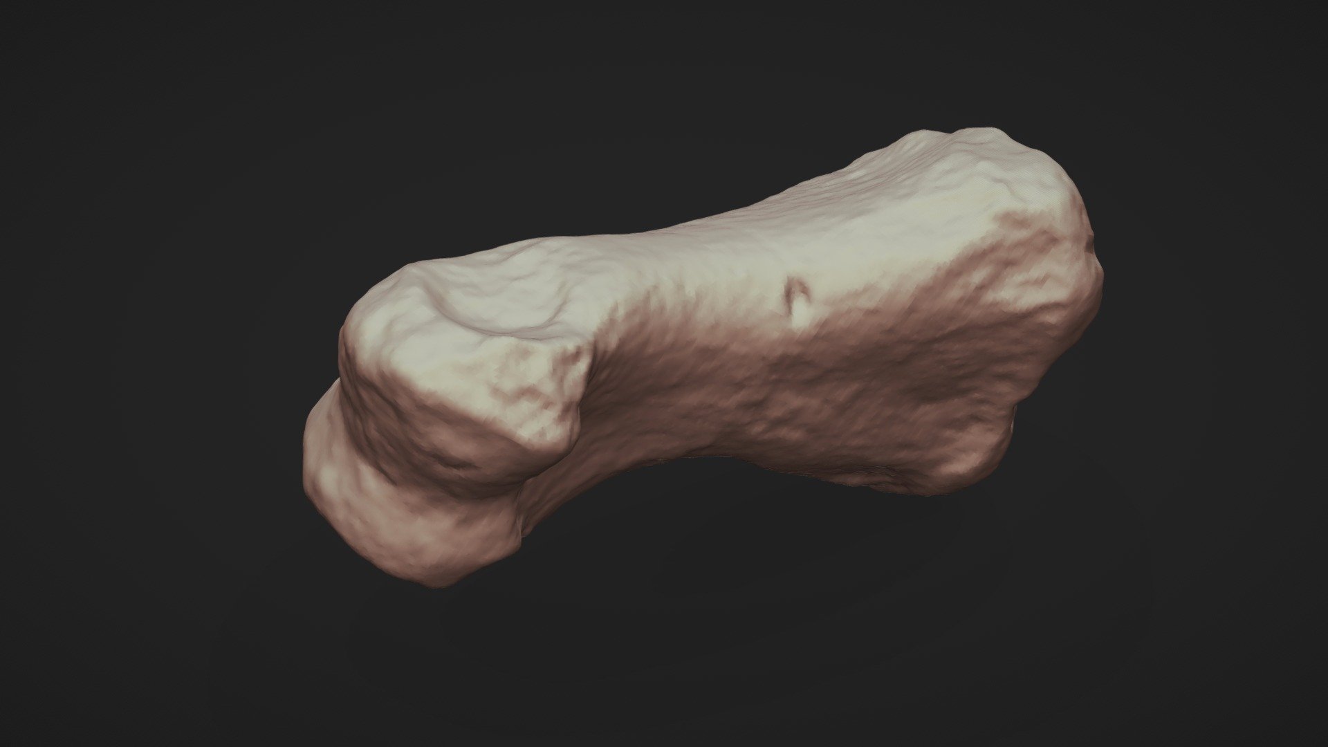 Falange de Phorusrhacidae - 3D model by Laboratório de Pesquisas ...