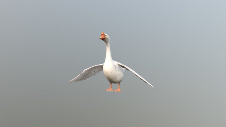 goose 3D Model