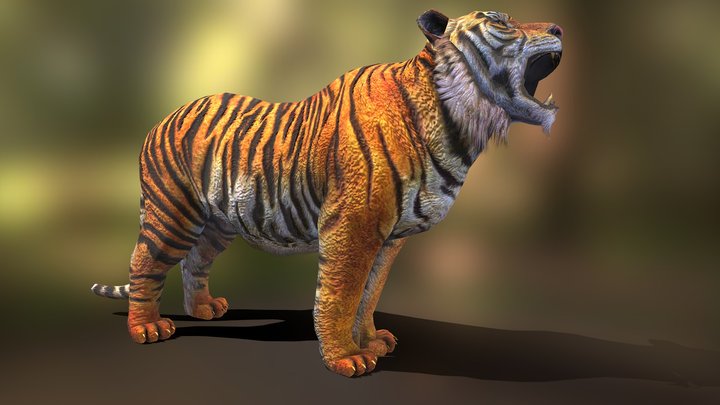 tiger howl v04 3D Model