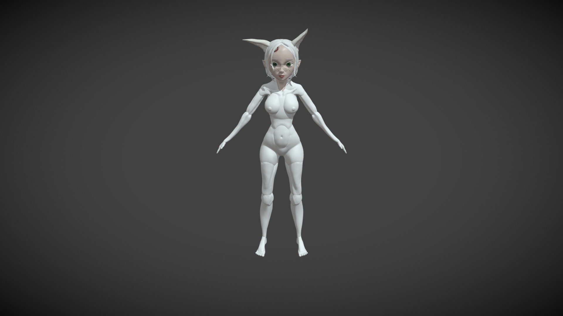 Body Model - 3D model by catianaweiss [ca127b5] - Sketchfab