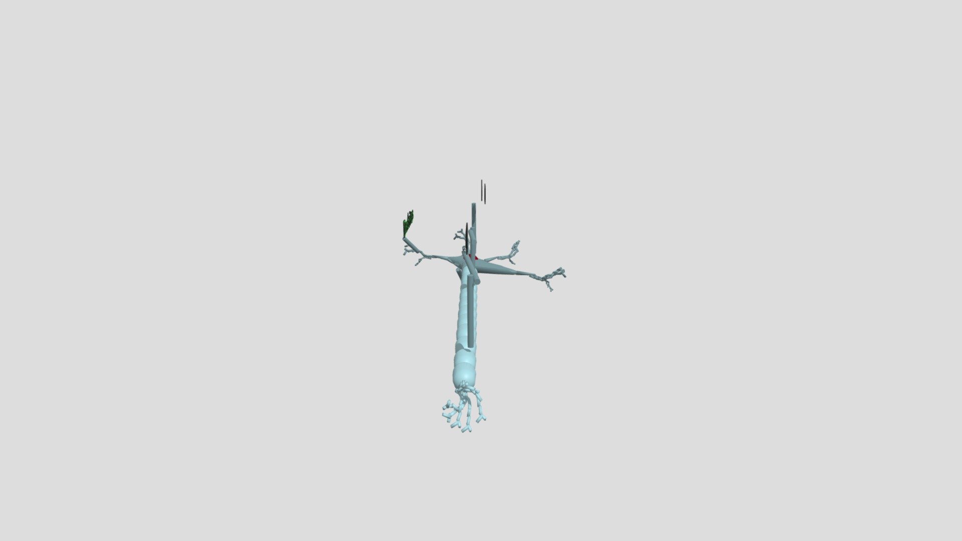 Neuron