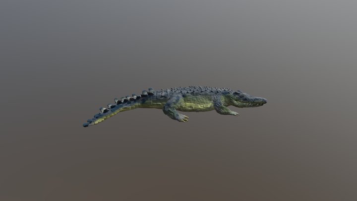 SculptrVR Crocodile 3D Model