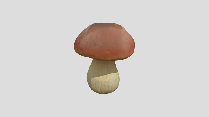 Boletus_ Beauty_0902063435_texture_fbx 3D Model