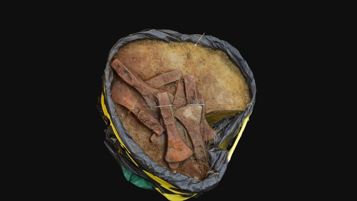 Palstave Hoard Partially Excavated 3D Model