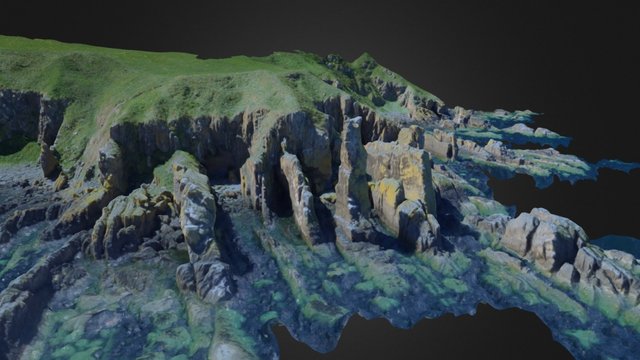 The Souter, Berwickshire Coast - Pix4D 3D Model