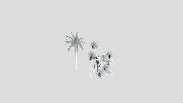 tropical trees 10 + Collection 3D Model