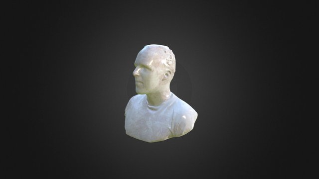 3d portrait of myself 3D Model