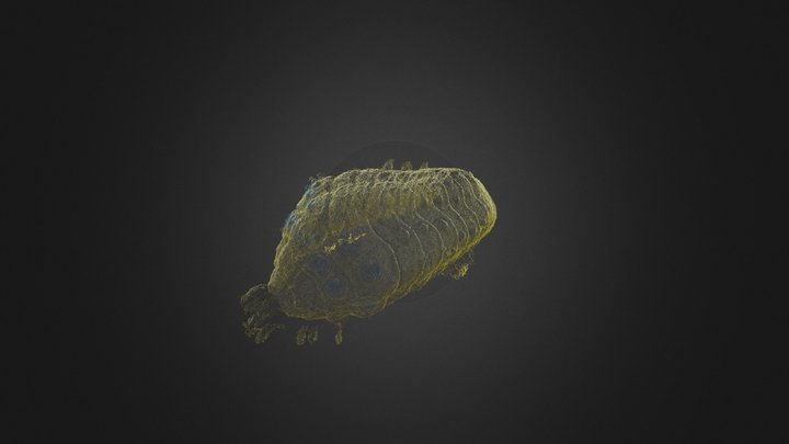 Ohmu vert 3D Model