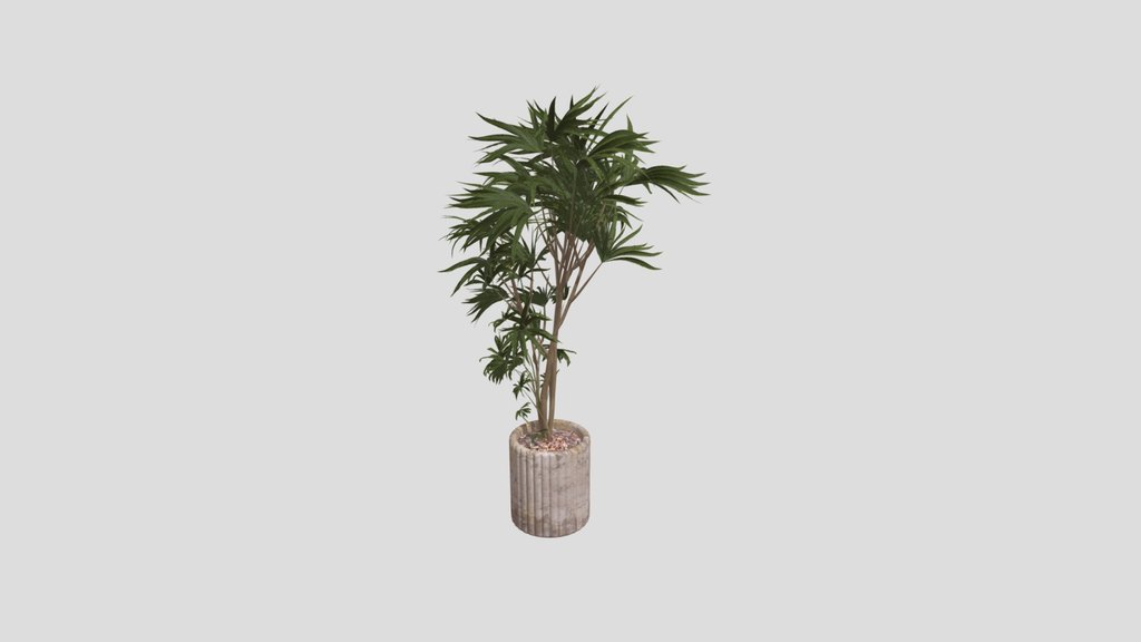 Plant