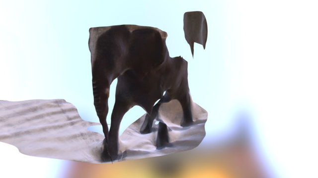 Elephant-3ds Max-FBX-30K 3D Model