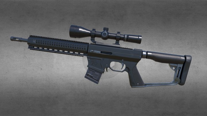 DMR / Gun Mashup 3D Model