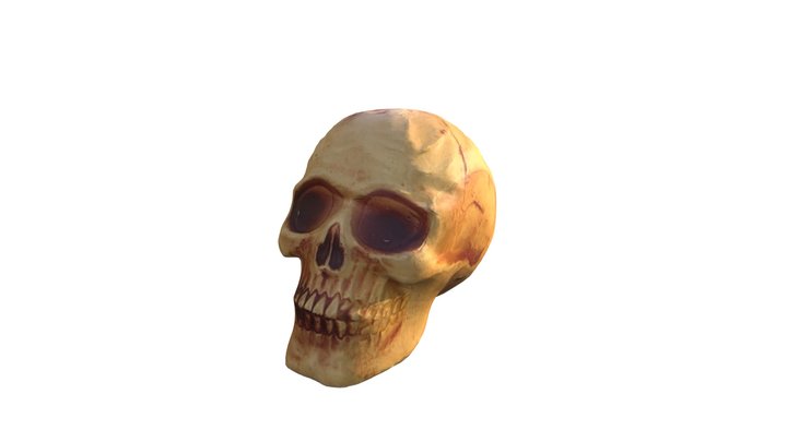 SKULL 3D Model