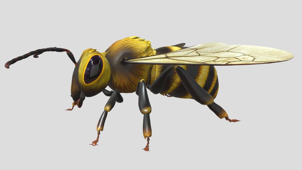Honeybee