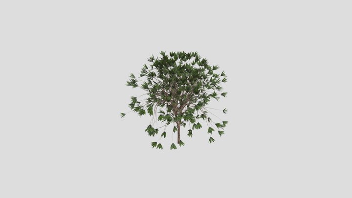 Tree 3D Model