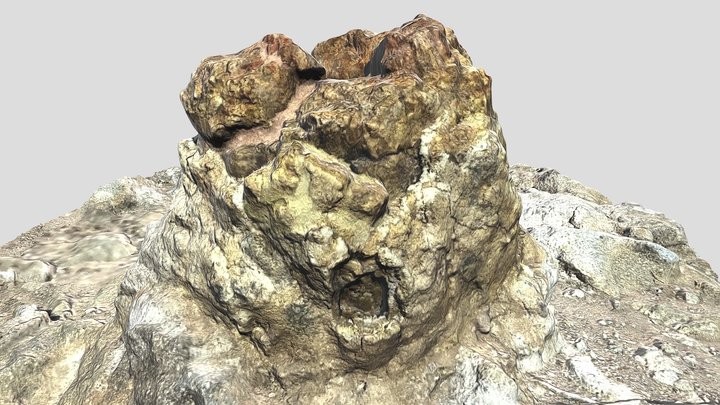 Parko_Plaka_Petrified_Forest_Lesvos No.(F9) 3D Model