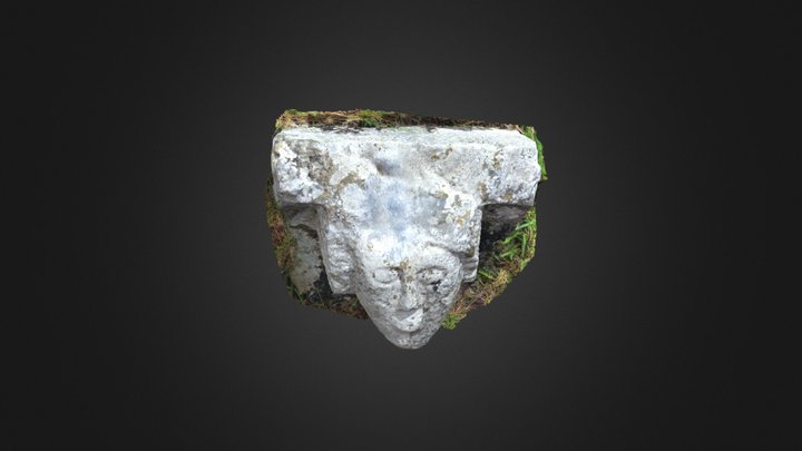 Killeedy: Corbel head 1