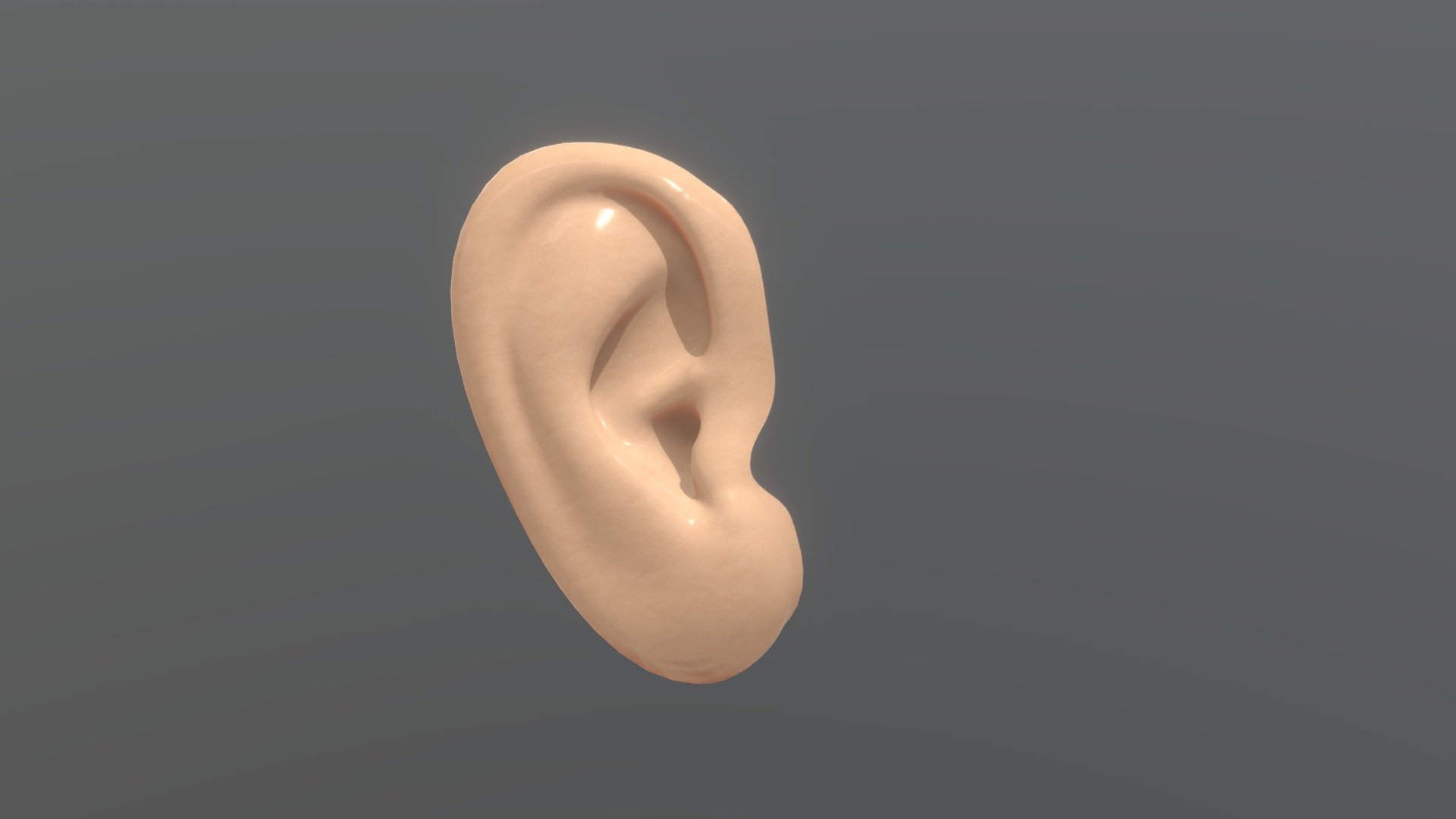 EAR - 3D model by Eduards (@edzha) [ca3956e] - Sketchfab