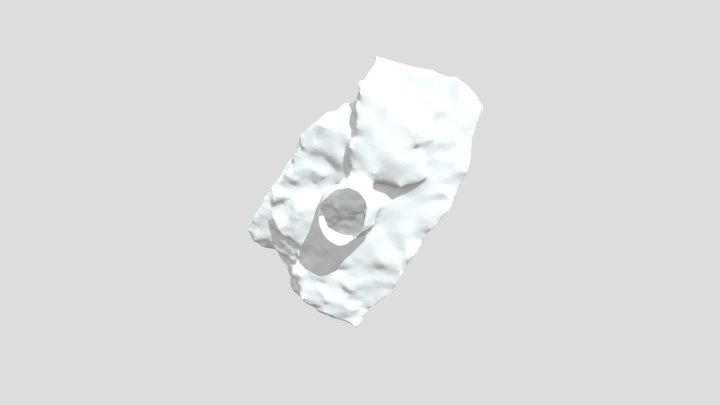 Limestone Fossiliferous 3D Model