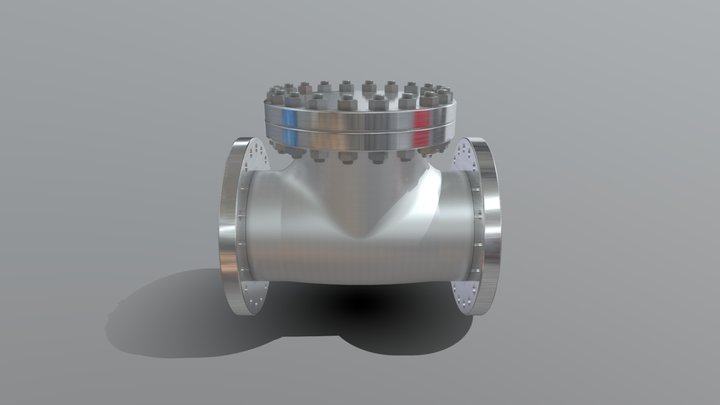 1b Check Valve With Marking 3D Model