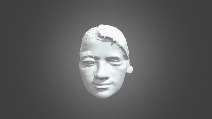 Hunt Museum ' Head of Stone '  ( ORIGIN) 3D Model