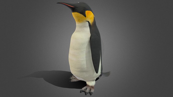 Penguin Rigged and animated 3D Model