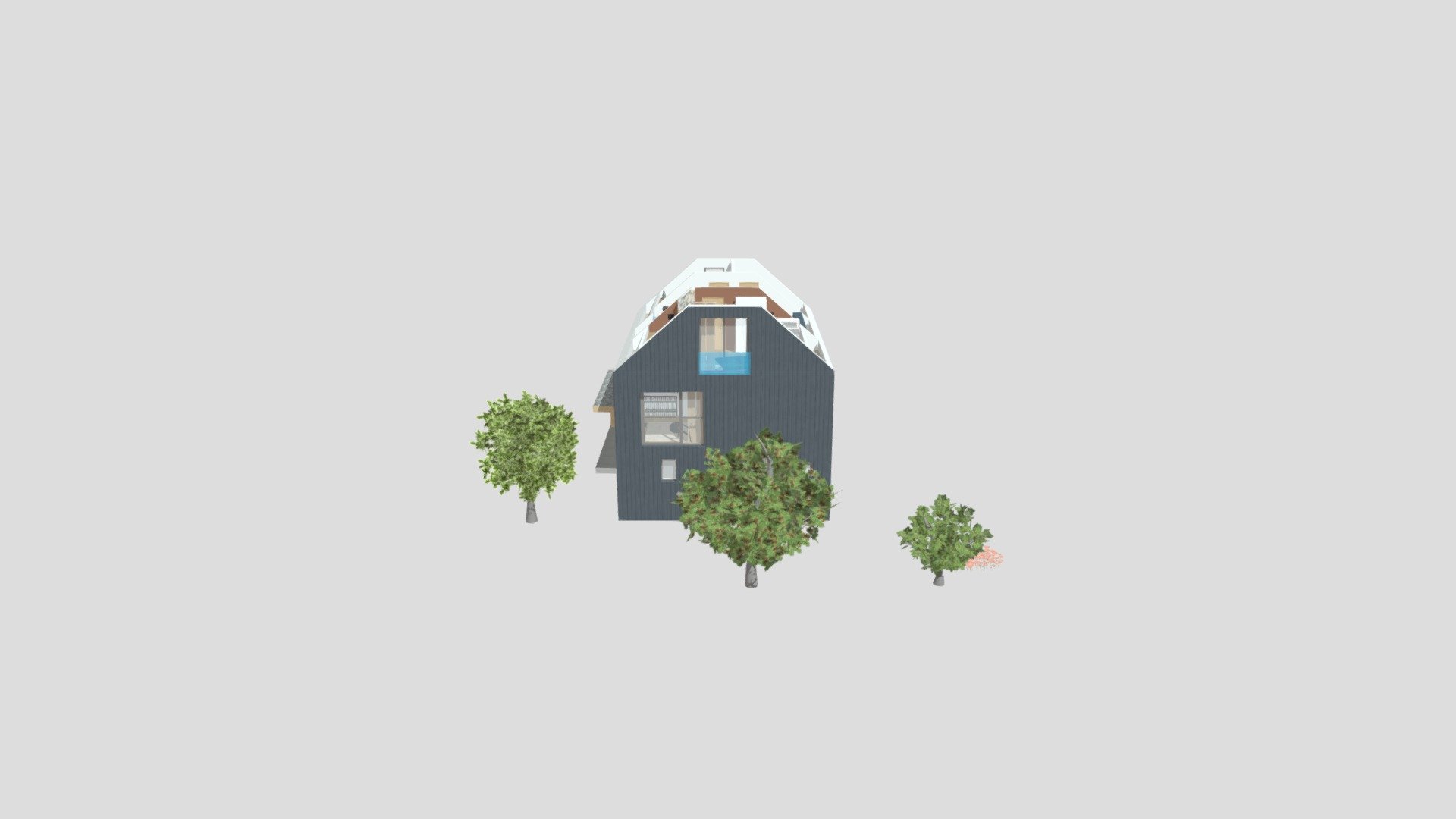 black eco family house