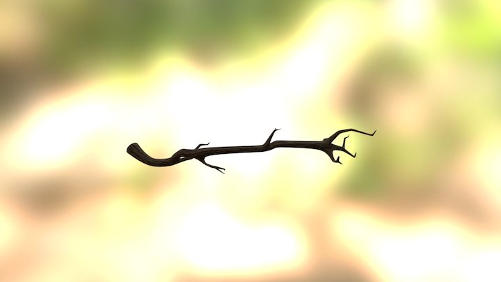 branche 3D Model