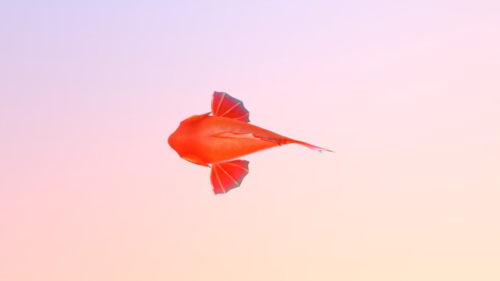 魴魚 3D Model
