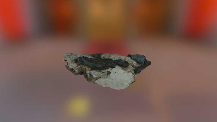 dino 3D Model