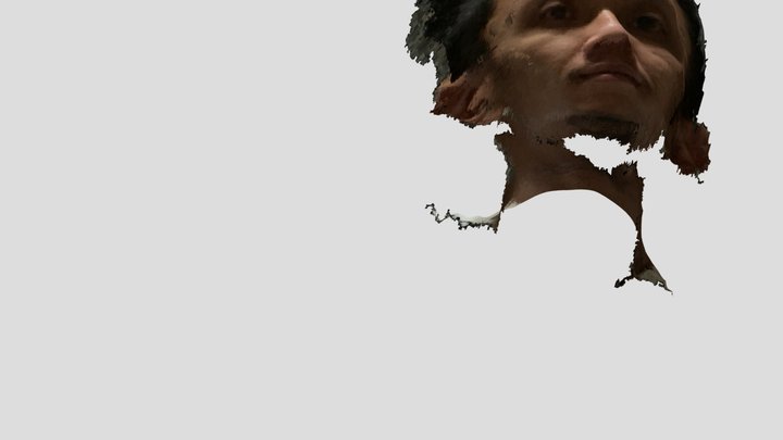 Scan Face 3D Model