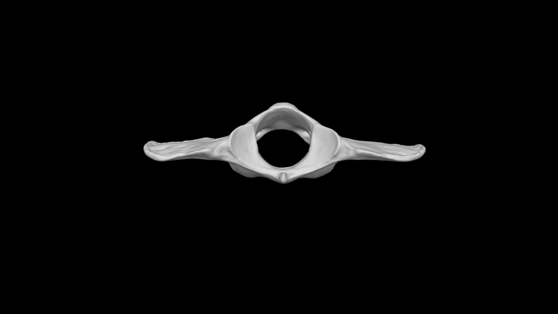 Dog atlas 3D model by Dr. Bobick's Virtual Anatomy Lab (drbobick