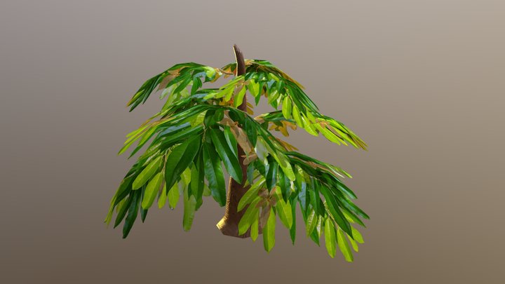 Shrub_1 3D Model