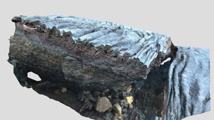 Ropy lava cross section - Fagradalsfjall 3D Model